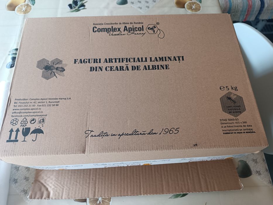 Faguri 2026 ICDA