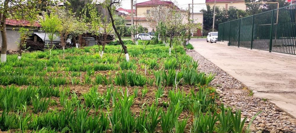 Uchaska sotiladi uchtepa tumani