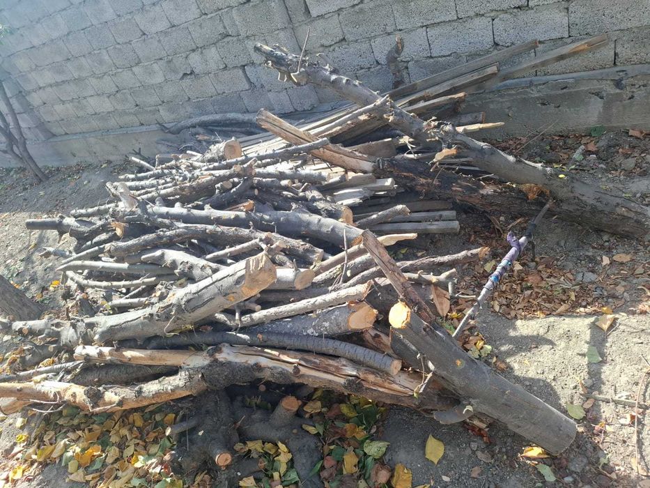 Дрова отын сатылады