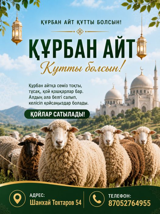 Семіз қой тоқтылар сатылады