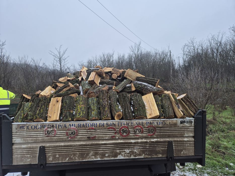 Vind lemn foc salcim