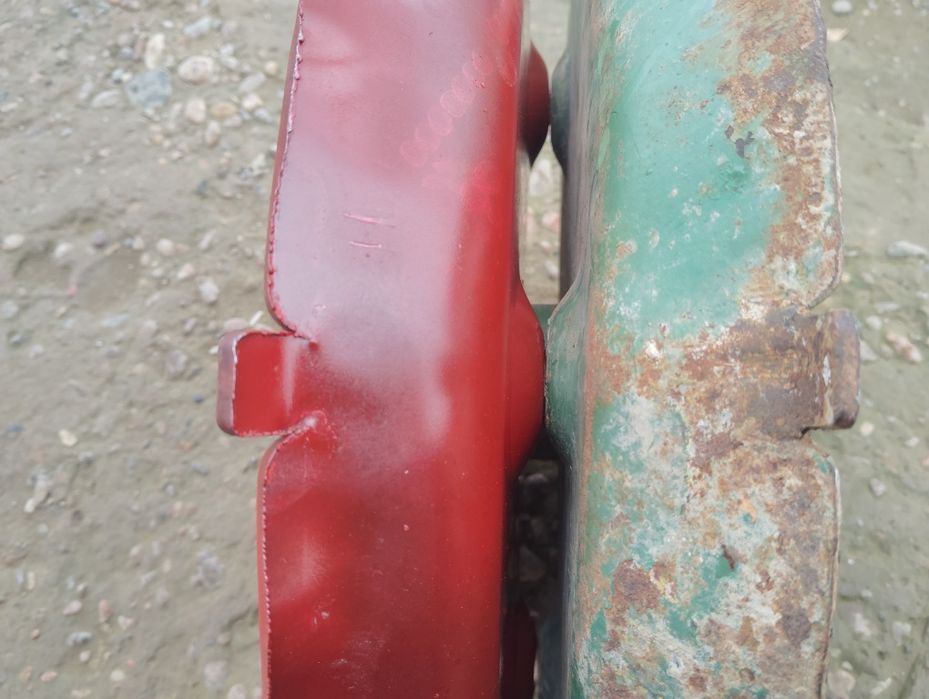 Ruminski selka zabchast