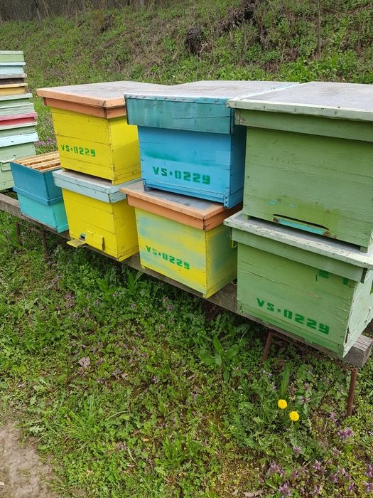 Lazi stup,folosite,1/1+cat 1/2,10 rame