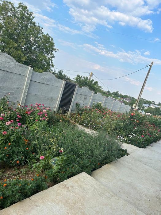 Vand Casa in Plosca/TR