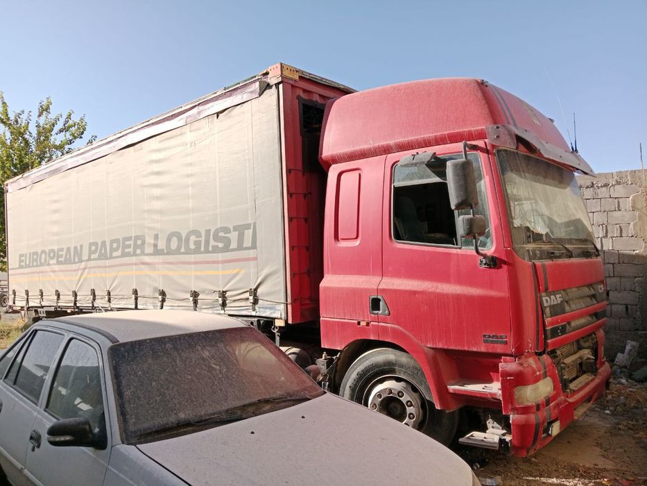 Даф сотилади. Холати яхши