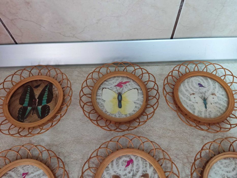 Set 6 suporti pentru pahare cu fluturi