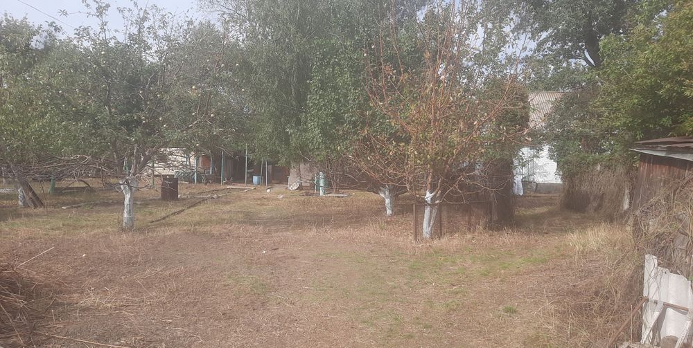 продам  (дачу, землю) 30 соток через речку