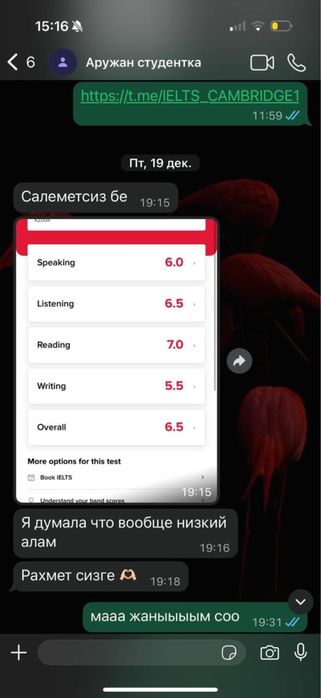 Репетитор Английского + IELTS