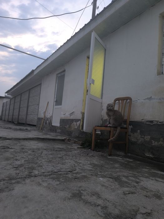 Srochno Tayyor biznesli hovli sotiladi