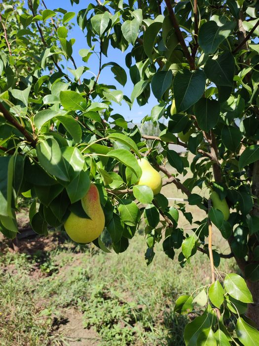Продам дом мкр. Сарыарка