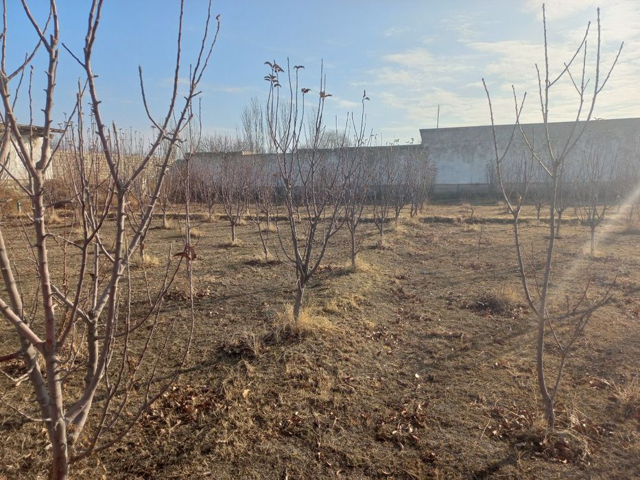 24 сотых уй жой сотлади