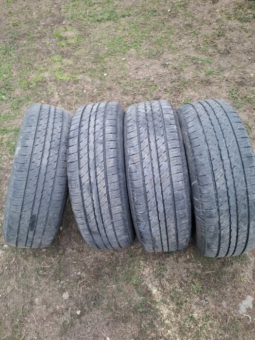 Резина rodex летняя