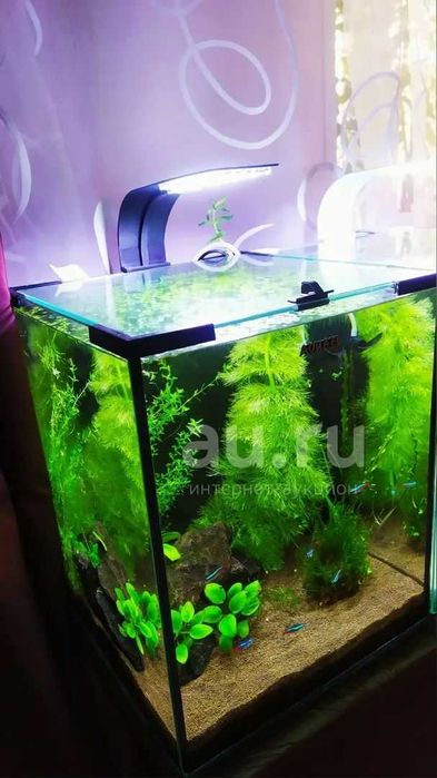 Светодиодные светильники.