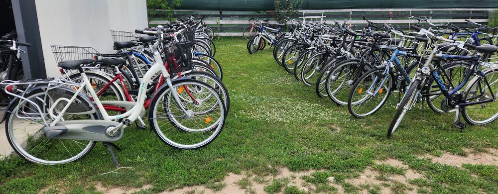 Bicicleta/Biciclete Dama