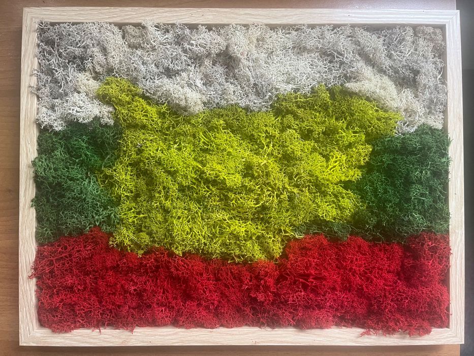 Картина България от естествен мъх