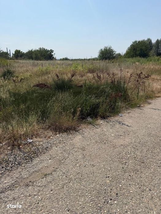 Teren intravilan, 4950 mp, deschidere 100 m la E70, zona Isalnita/Alma