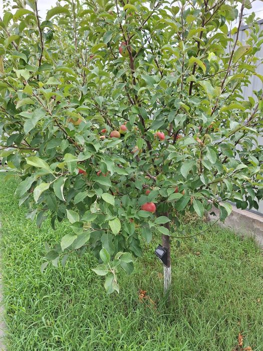 Продам добротный дом