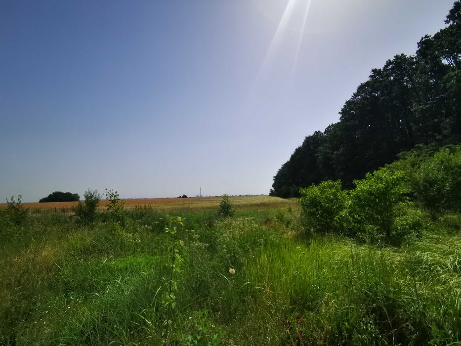Teren, 8950 mp, langa padure, Intravilan, Magurele, strada Tangentei