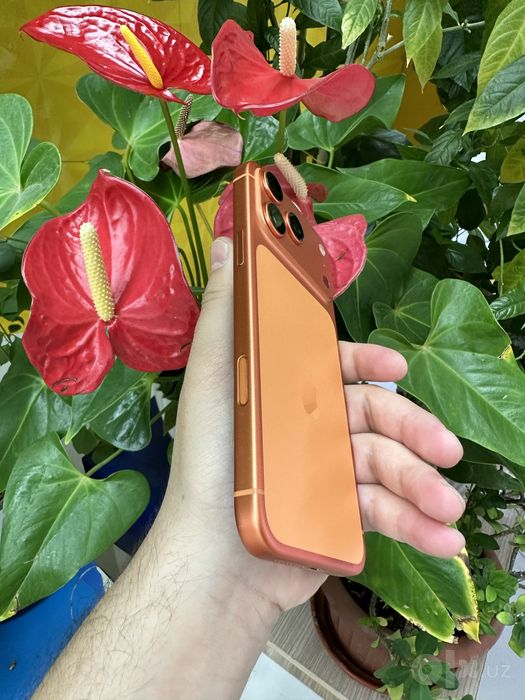 IPhone 17 pro max  256GB