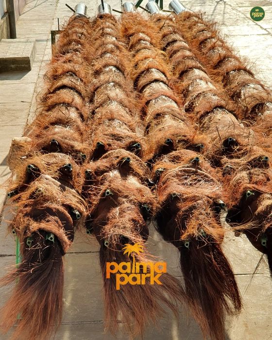 Искусственные пальмы