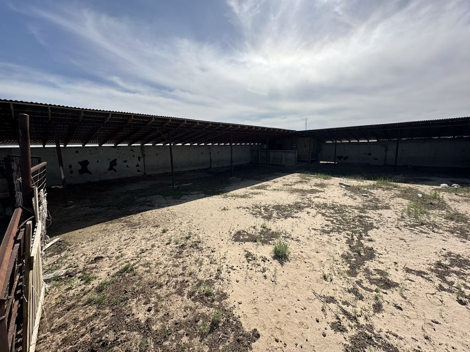 Продаётся фазенда