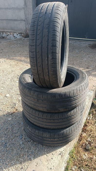 Cobalt radnoy balonlari