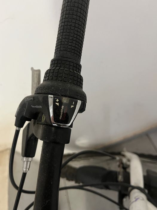 Bicicleta adulti