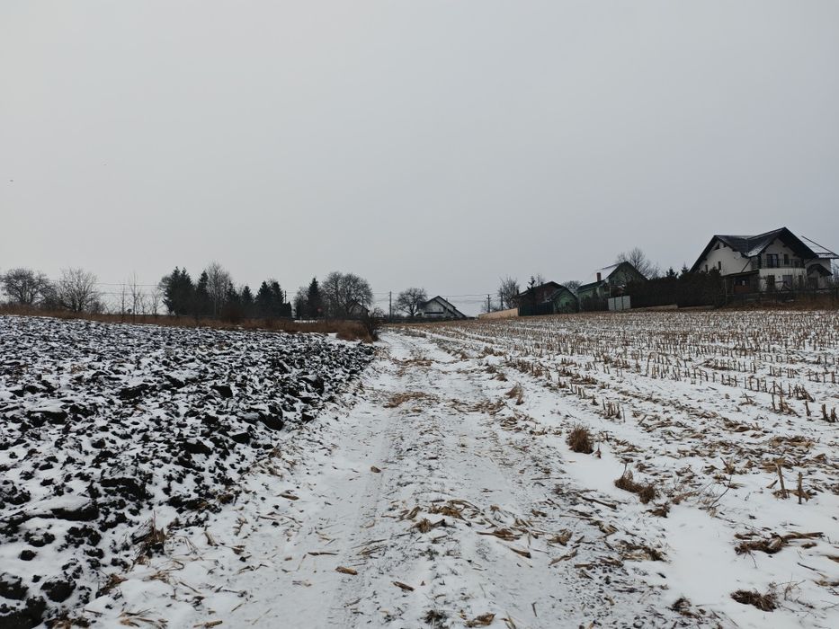 De vânzare teren extravilan în Liteni-Moara