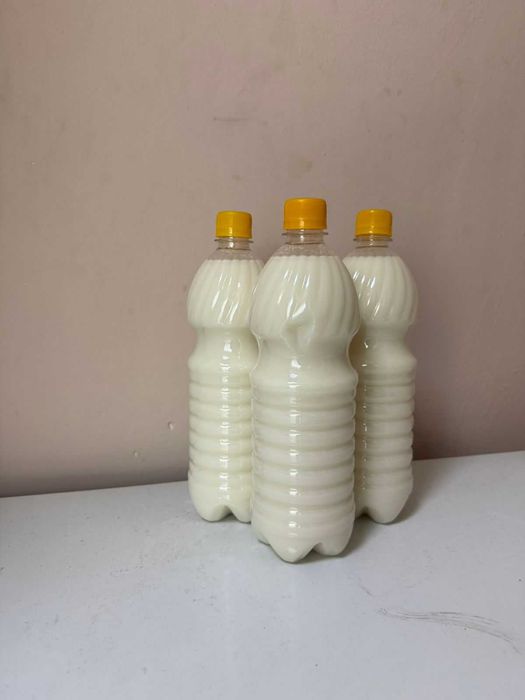 Кумыс высшего качества