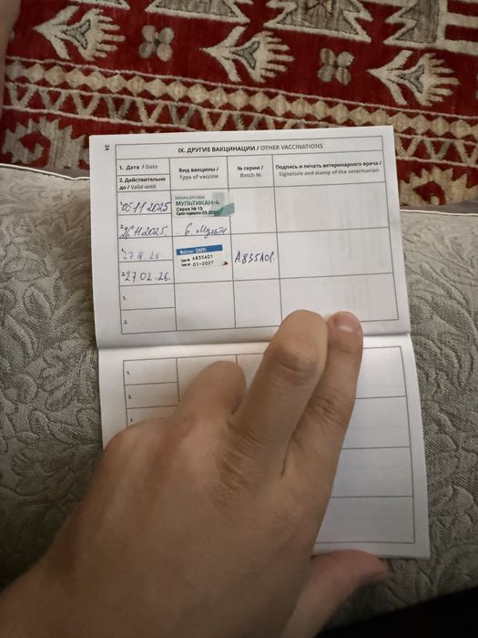 Спаниель продам.