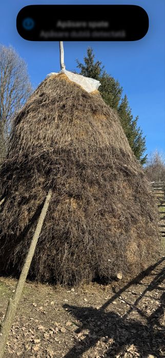 Vând otavă foarte bună