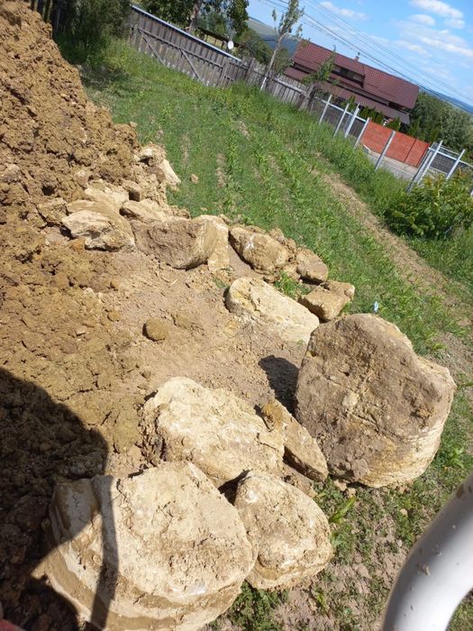 Foraje fantani Edilcat Activity