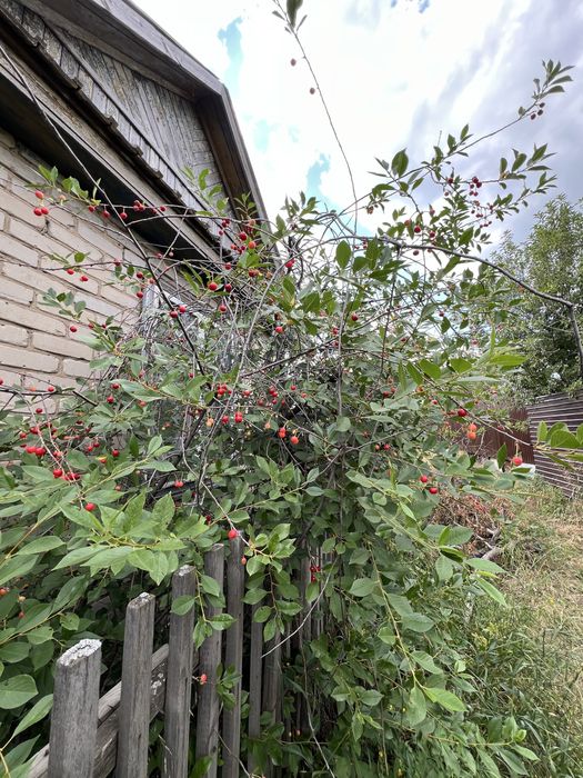 Дача в Садовод-Строитель