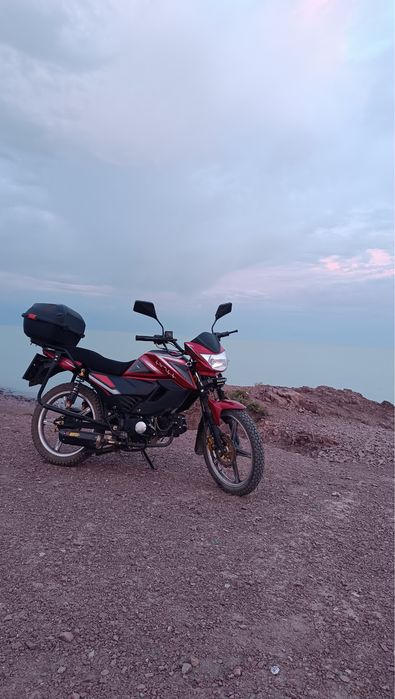 Альфа чамп 125 кубов