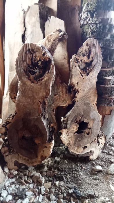 Cherestea (blaturi de nuc)