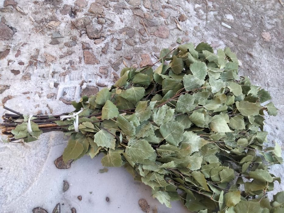 Продам берёзовые веники