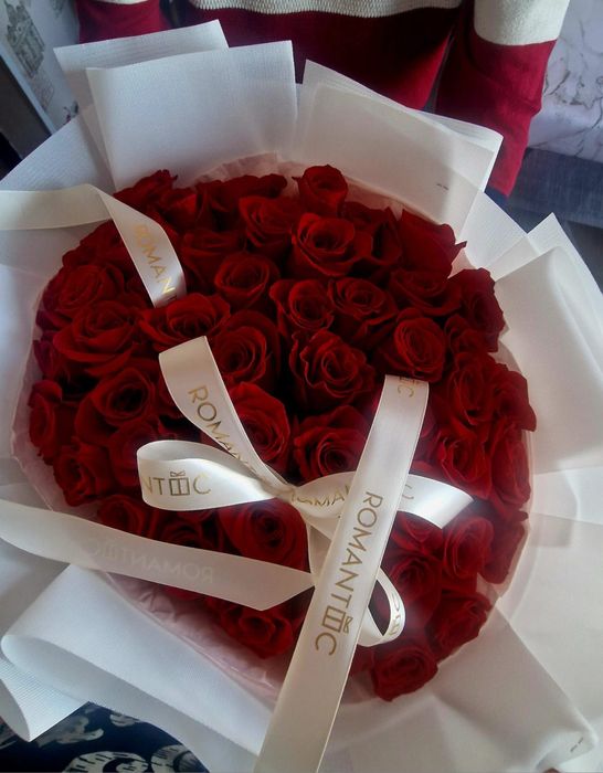 Свежие красные розы ROMANTIC 51 штук