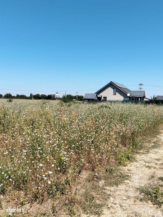 De închiriat: Teren 425 mp – Tărtășești, Dâmbovița