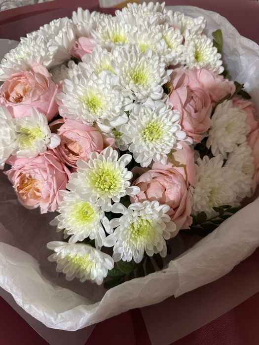 Продам  живые  цветы