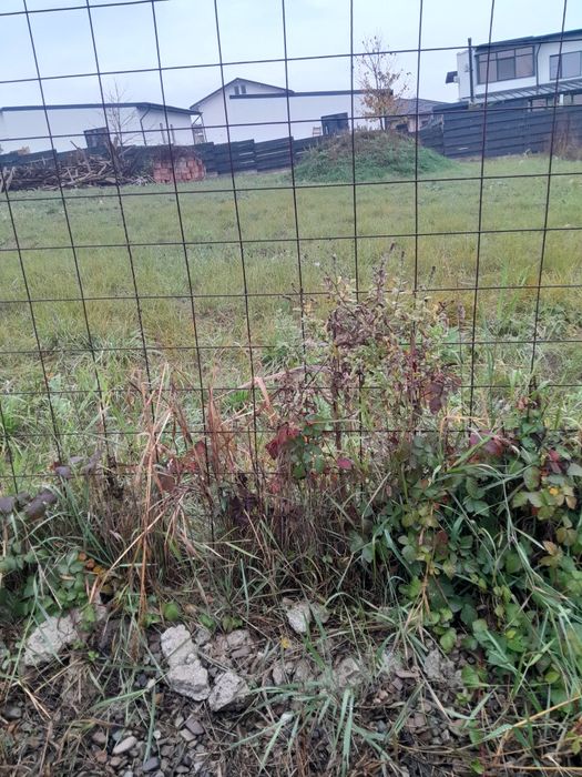 Pers fizica vind 550 mp  teren popas pacurari valea lupului  str soare