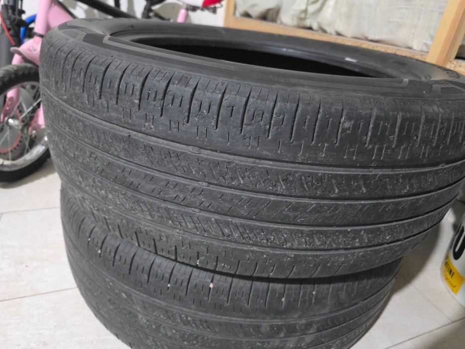 NEXEN всесезонный 19/55/235 2 шт