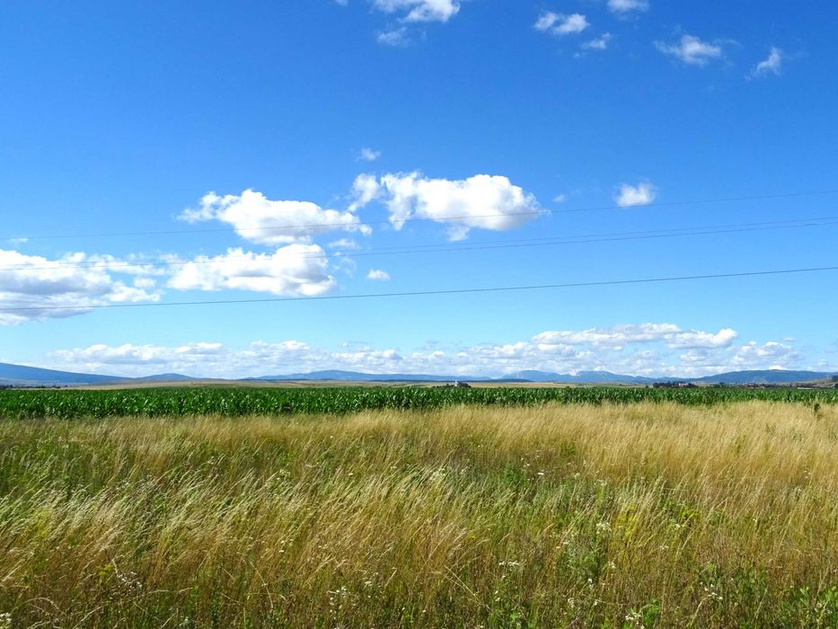 Str. Kas - Șumuleu Ciuc - teren de vânzare