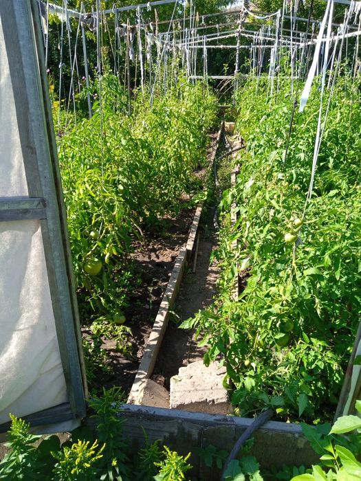 Продам дачу в обществе СПП, 9 соток