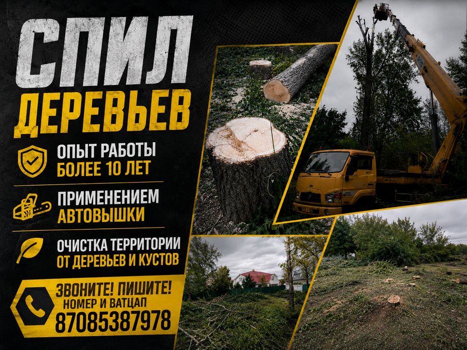 Спил деревьев распил дров