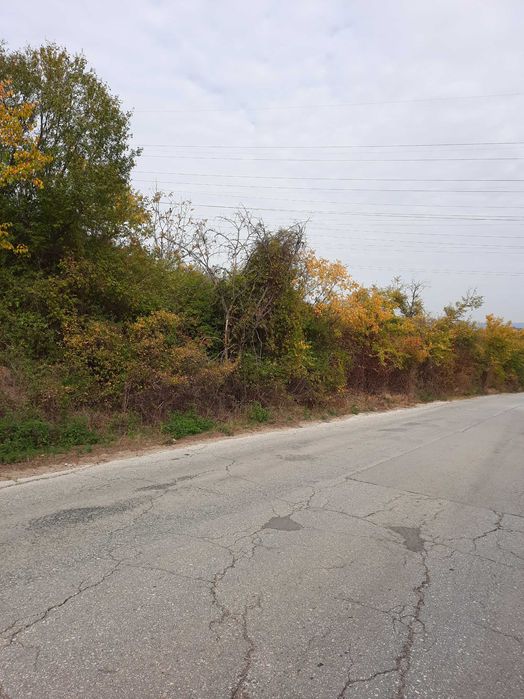 Земеделски имот в град  Плевен