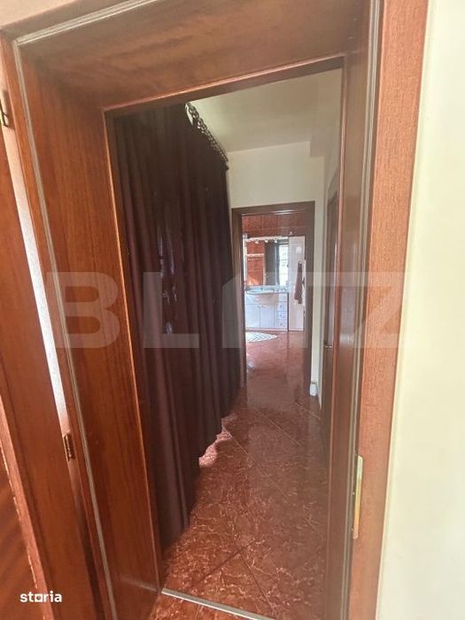 Vila Remetea Mare 380mp utili, 3982 mp teren