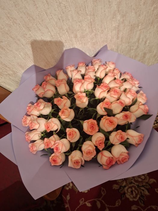 Свежий гул сатамын