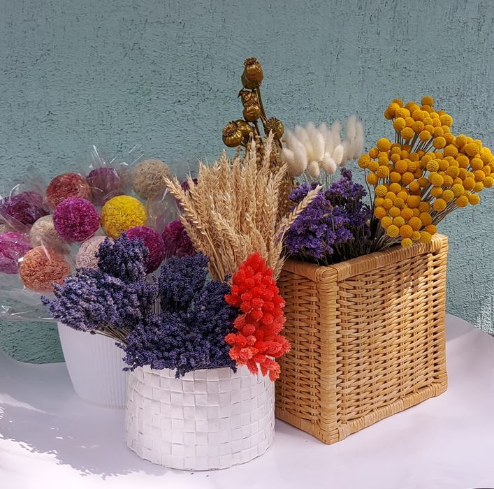 Сухоцветы для интерьера. ЛАГУРУС.