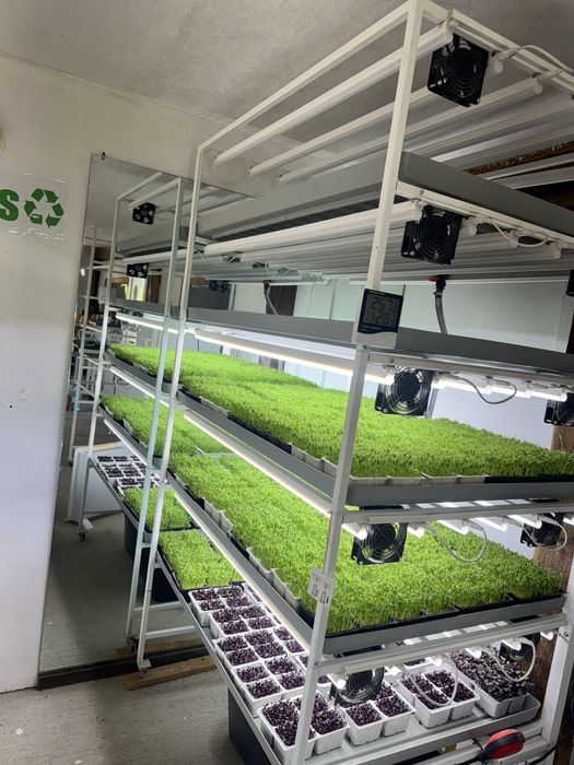 Sistem Microplante Hy Farm