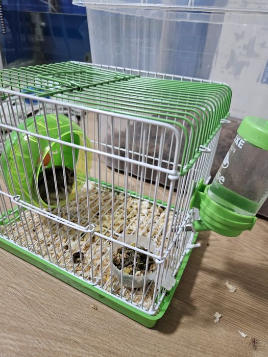 Продаю клетку с хомяком